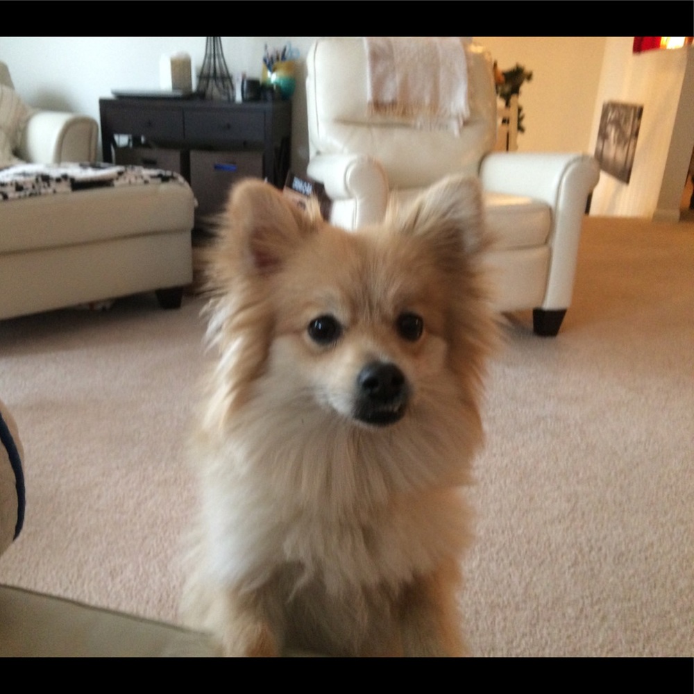 Meet your Posher, Sarah